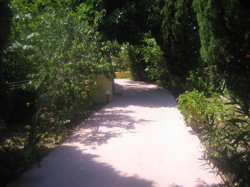 Villa Sofia Ialysos  Room photo